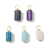 5Pcs Natural Mixed Gemstone Pendants PALLOY-JF03153-1