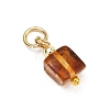 Natural Amber Pendants PALLOY-JF05273-3