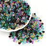 3/0 Baking Paint Glass Fringe Seed Beads SEED-A034-04K-3