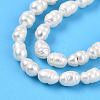 Natural Cultured Freshwater Pearl Beads Strands PEAR-N012-04L-01-4