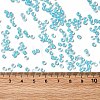 12/0 Transparent Glass Seed Beads X-SEED-F003-03C-10-4