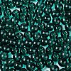 FGB Transparent Glass Seed Beads SEED-N013-01B-09-3