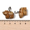 Natural Picture Jasper Pendants G-B127-02P-04-4