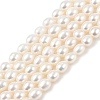 Natural Cultured Freshwater Pearl Beads Strands PEAR-I007-01D-03A-2