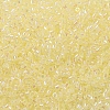 MIYUKI Delica Beads SEED-X0054-DB0053-3