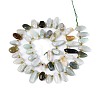 Natural Myanmar Jade Beads Strands G-Z091-A28-2