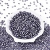 Silver Lined Glass Seed Beads SEED-T007-18A-08-2
