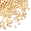 10G Silver Lined Glass Seed Beads SEED-L013-01C-1