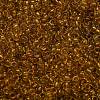TOHO 6/0 Round Beads X-SEED-TR06-2155-3