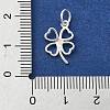 925 Sterling Silver Charms STER-M119-12S-3