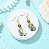 Natural Paua Shell Dangle Earrings EJEW-JE07429-01-1