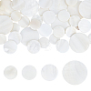 40Pcs 4 Styles Natural Freshwater Shell Cabochons SHEL-WR0001-11-1