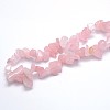 Natural Rose Quartz Beads Strands X-G-O049-B-60-3
