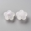 Transparent Acrylic Beads TACR-S152-09C-06-2