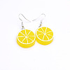 304 Stainless Steel & Resin Dangle Earrings WG56BB9-04-1