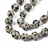 Natural Dalmatian Jasper Beads Strands G-N326-100-02-3