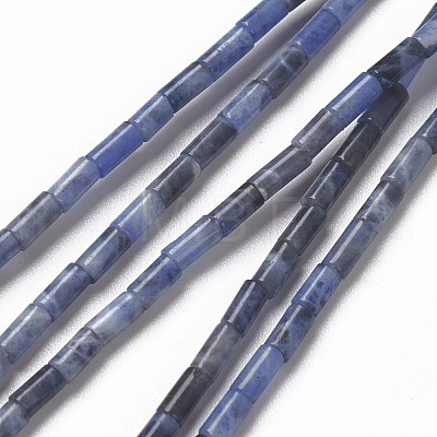 Natural Sodalite Beads Strands G-B004-A27-1