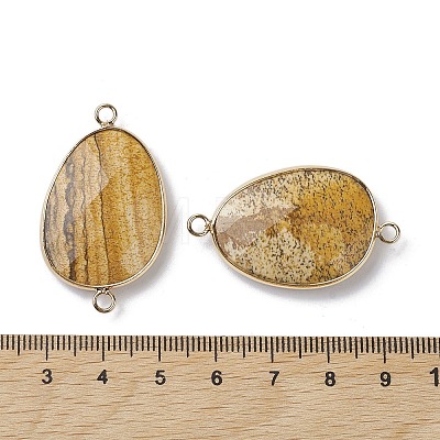 Natural Picture Jasper Connector Charms G-C110-02E-KCG-1