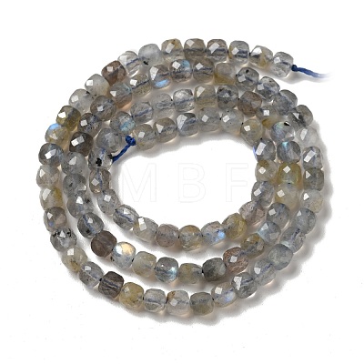 Natural Labradorite Beads Strands G-D470-10-1