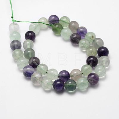 Natural Fluorite Bead Strands G-D840-56-8mm-AB+-1