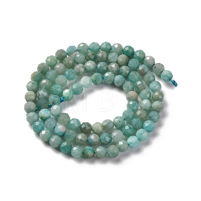 Natural Amazonite Beads Strands G-G140-A18-03-A-1