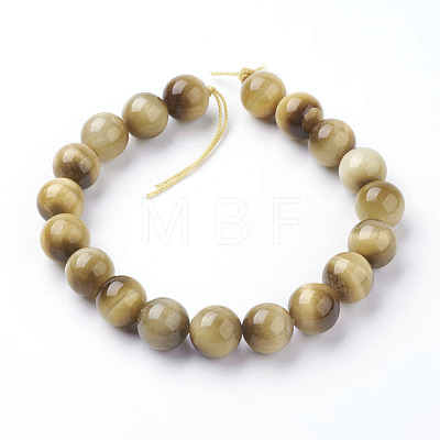 Natural Gold Tiger Eye Beads Strands G-C076-10mm-1AA-1