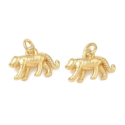 Brass Charms KK-D289-34C-G-1