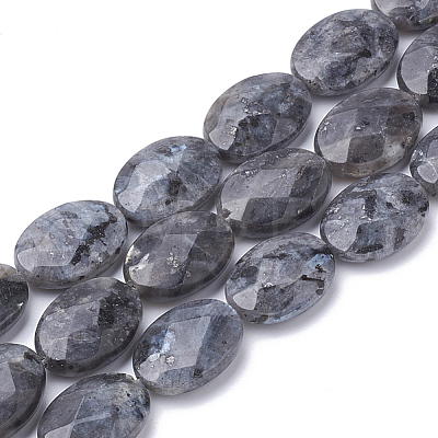 Natural Labradorite Beads Strands G-S292-40-1