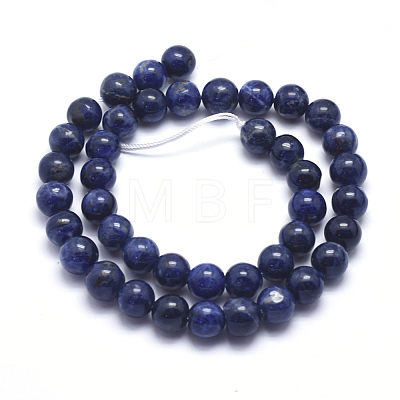 Natural Sodalite Beads Strands G-K224-01-10mm-1
