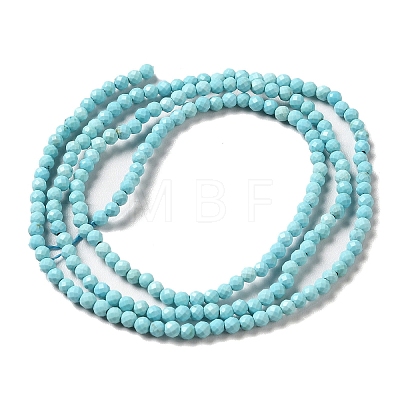 Natural Howlite Beads Strands G-C025-03A-01-1