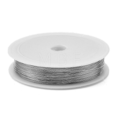 Baking Painted Iron Wire MW-NH0001-03C-1