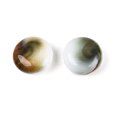 Natural Shiva Eye Shell Beads BSHE-T014-33B-1