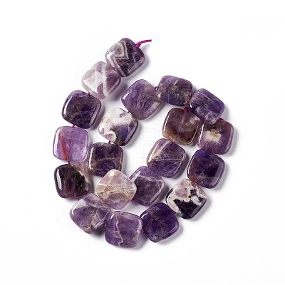 Natural Amethyst Beads Strands G-L253-11-1