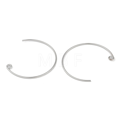 Brass Earring Hooks KK-C069-01P-1