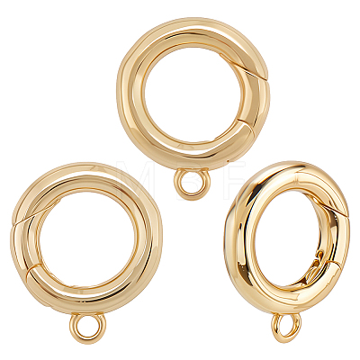 6Pcs Brass Spring Gate Clasps KK-SC0006-42G-02-1