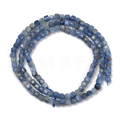 Natural Kyanite Beads Strands G-B088-E24-03A-1