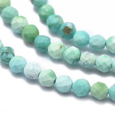Natural HuBei Turquoise Beads Strands G-G792-38-1