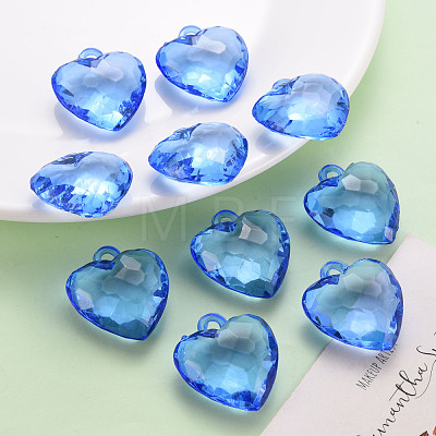 Transparent Acrylic Pendants TACR-T024-03B-940-1