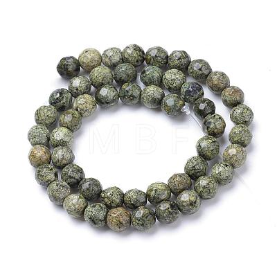 Natural Serpentine/Green Lace Stone Bead Strands G-R411-11-6mm-1