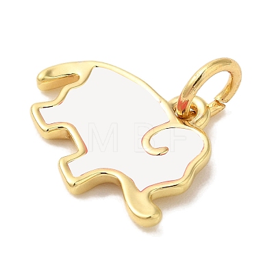 Rack Plating Brass Enamel Charms KK-L220-024G-01-1