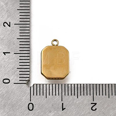 304 Stainless Steel Charms STAS-F318-13G-1