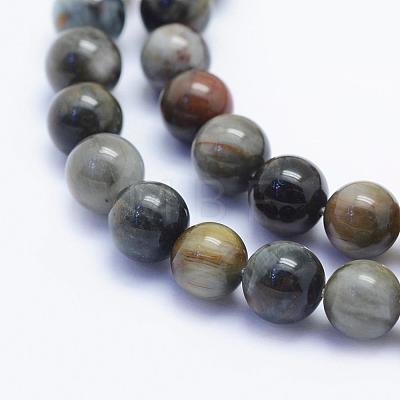 Natura Hawk's Eye Beads Strands G-D0001-22C-6mm-1