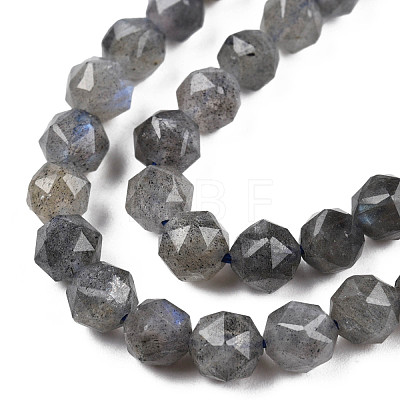 Natural Labradorite Beads Strands G-N327-03A-06-1