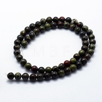 Natural Bloodstone Beads Strands G-I199-21-10mm-1