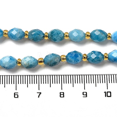 Natural Apatite Beads Strands G-H297-C03-01-1