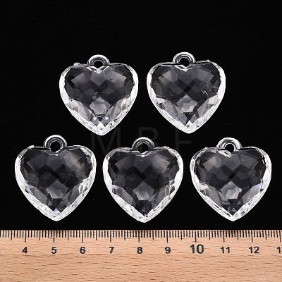 Transparent Acrylic Pendants TACR-T024-03B-205-1