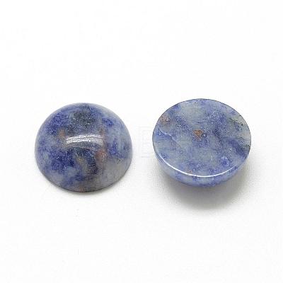 Natural Blue Spot Jasper Cabochons G-R416-20mm-45-1