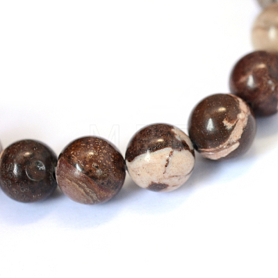 Natural Zebra Jasper Round Bead Strands X-G-E334-4mm-12-1