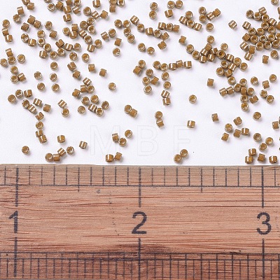 MIYUKI Delica Beads X-SEED-J020-DB0664-1