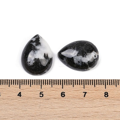 Natural Zebra Jasper Cabochons G-H094-01A-09-1